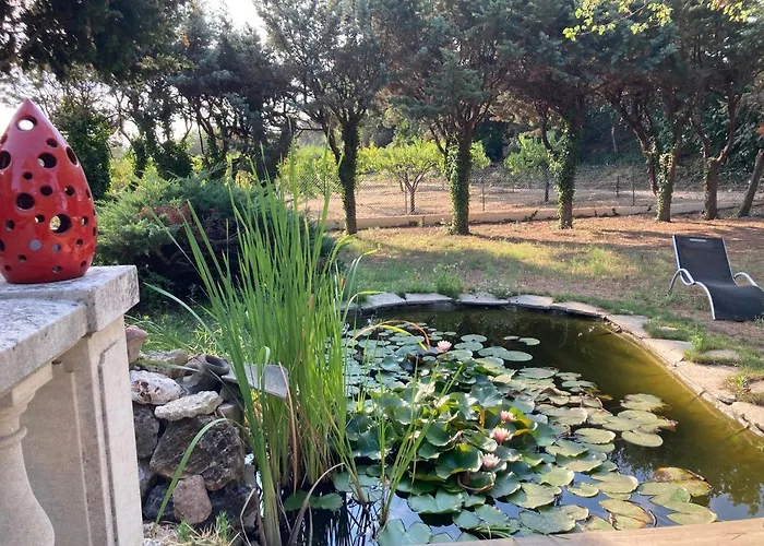 Le Chene Et L'eau Roquebrune-sur Argens
