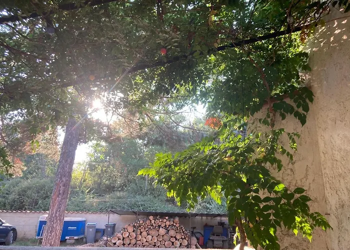 Le Chene Et L'eau Roquebrune-sur Argens