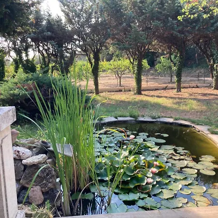 Le Chene Et L'eau Roquebrune-sur-Argens