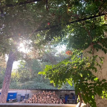 Le Chene Et L'eau Roquebrune-sur-Argens